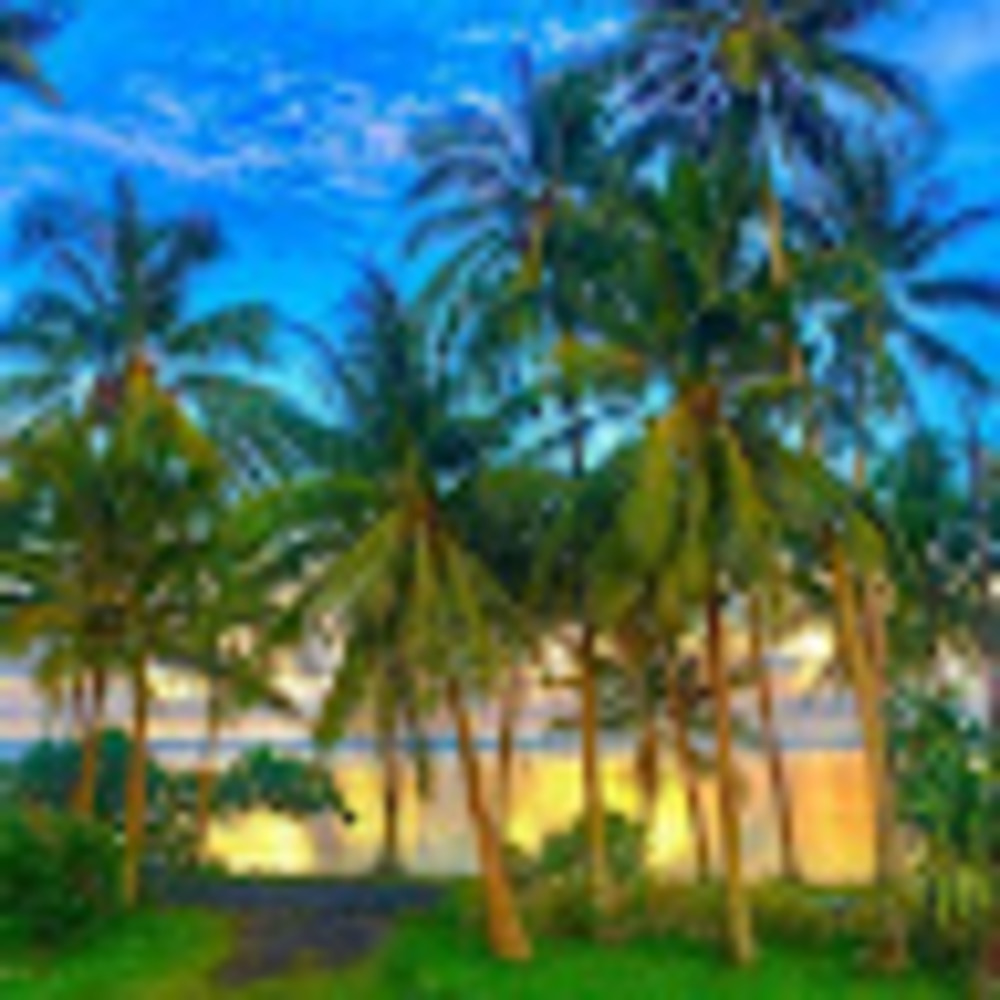 Meet your Posher, Shivaun